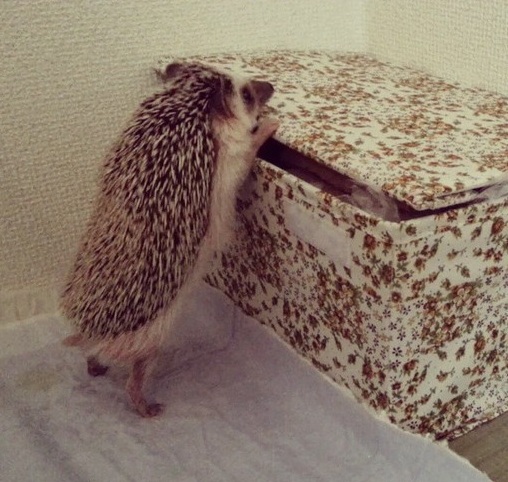 ͼƬ