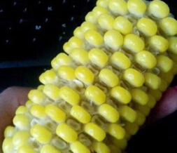 ĸЦͼƬ