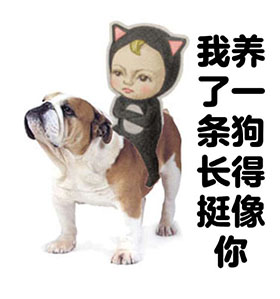 ЦSadayuki
