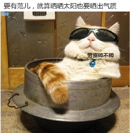 èЦ