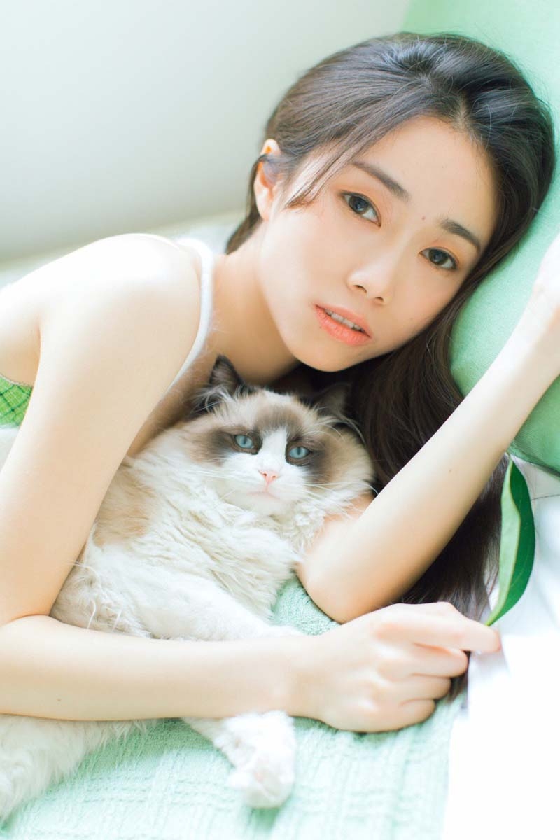 ϵĳΨͼ