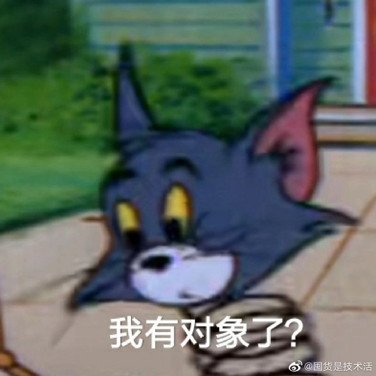 ̸ķqqЦȫ