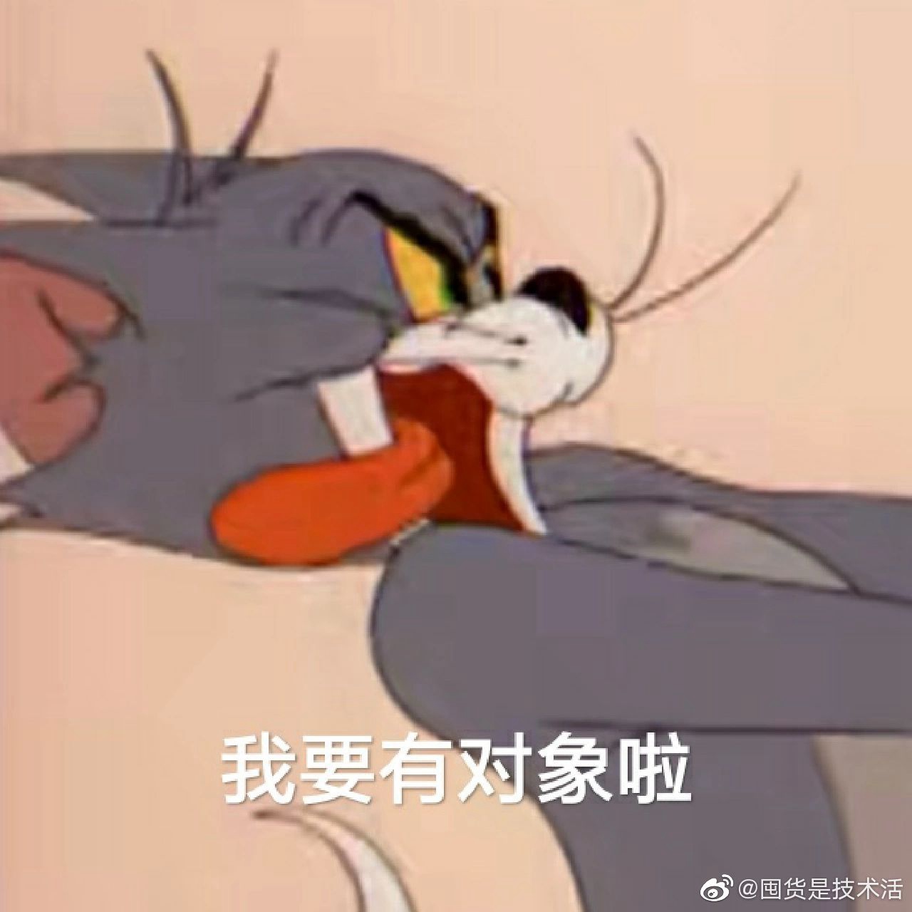 ̸ķqqЦȫ