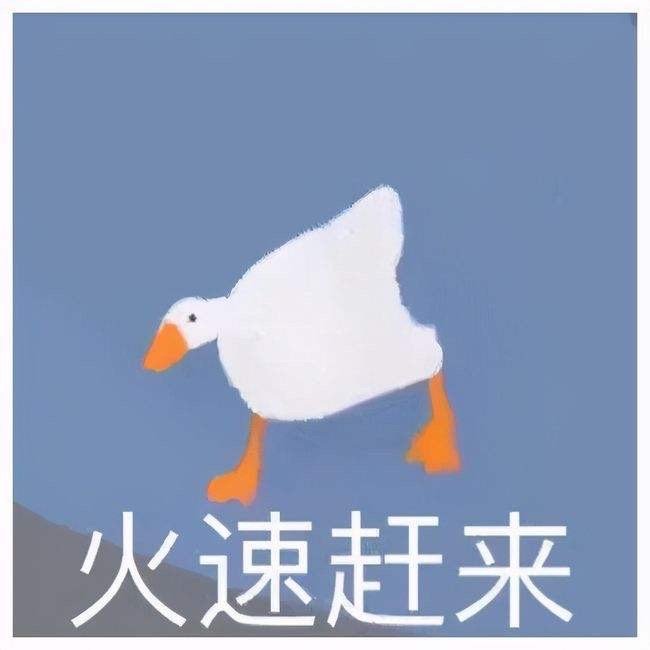 ȸЦֿɰqqֱ