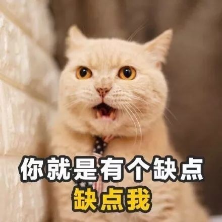 黰·Ůqqȫ